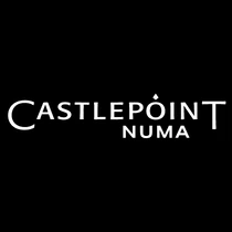 Castlepoint Numa - resized logo